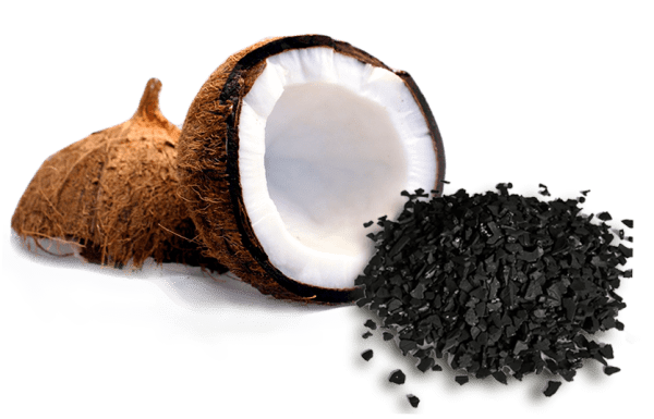 Coconut